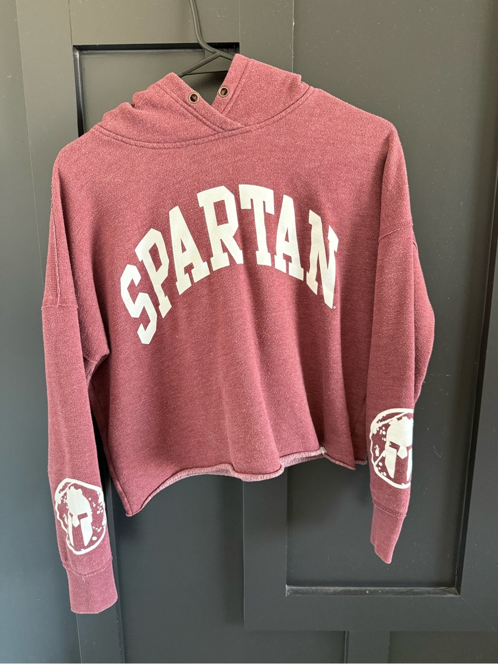 Spartan Cropped Hooded Sweatshirt - Dusty Rose